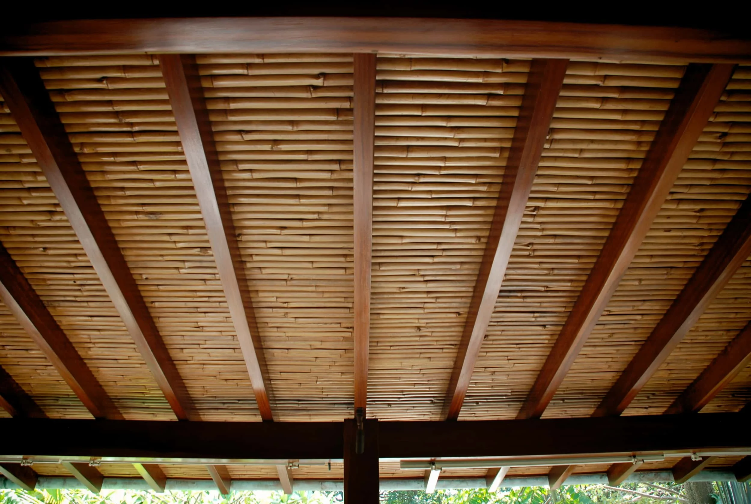 Cielo Raso en Latas de Guadua