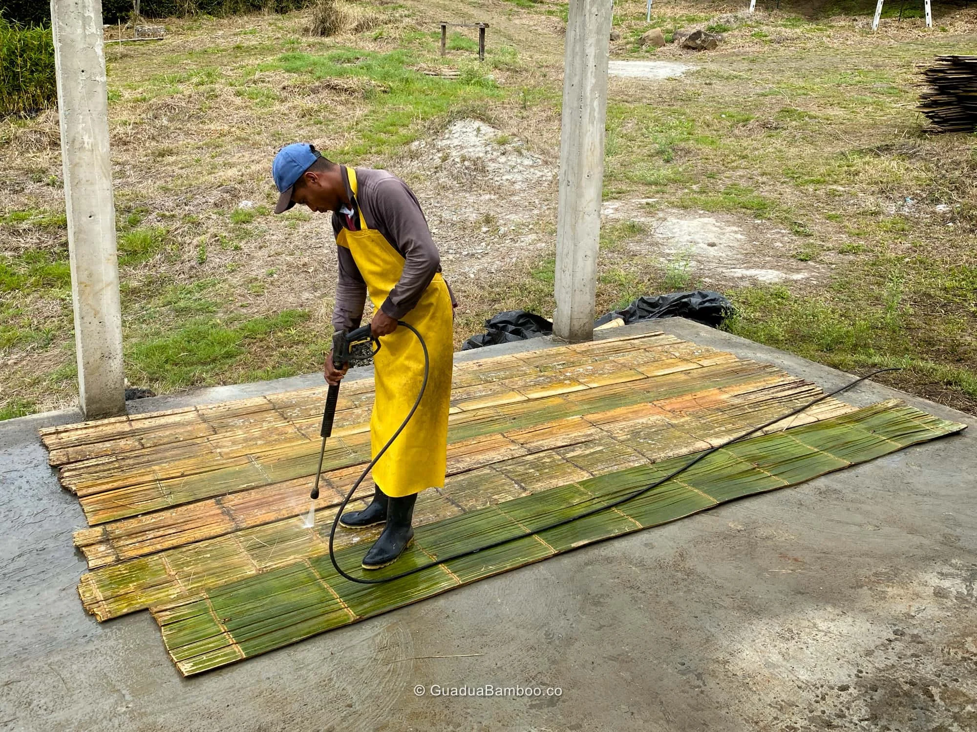 Lavado de Esterilla de Guadua Bambú