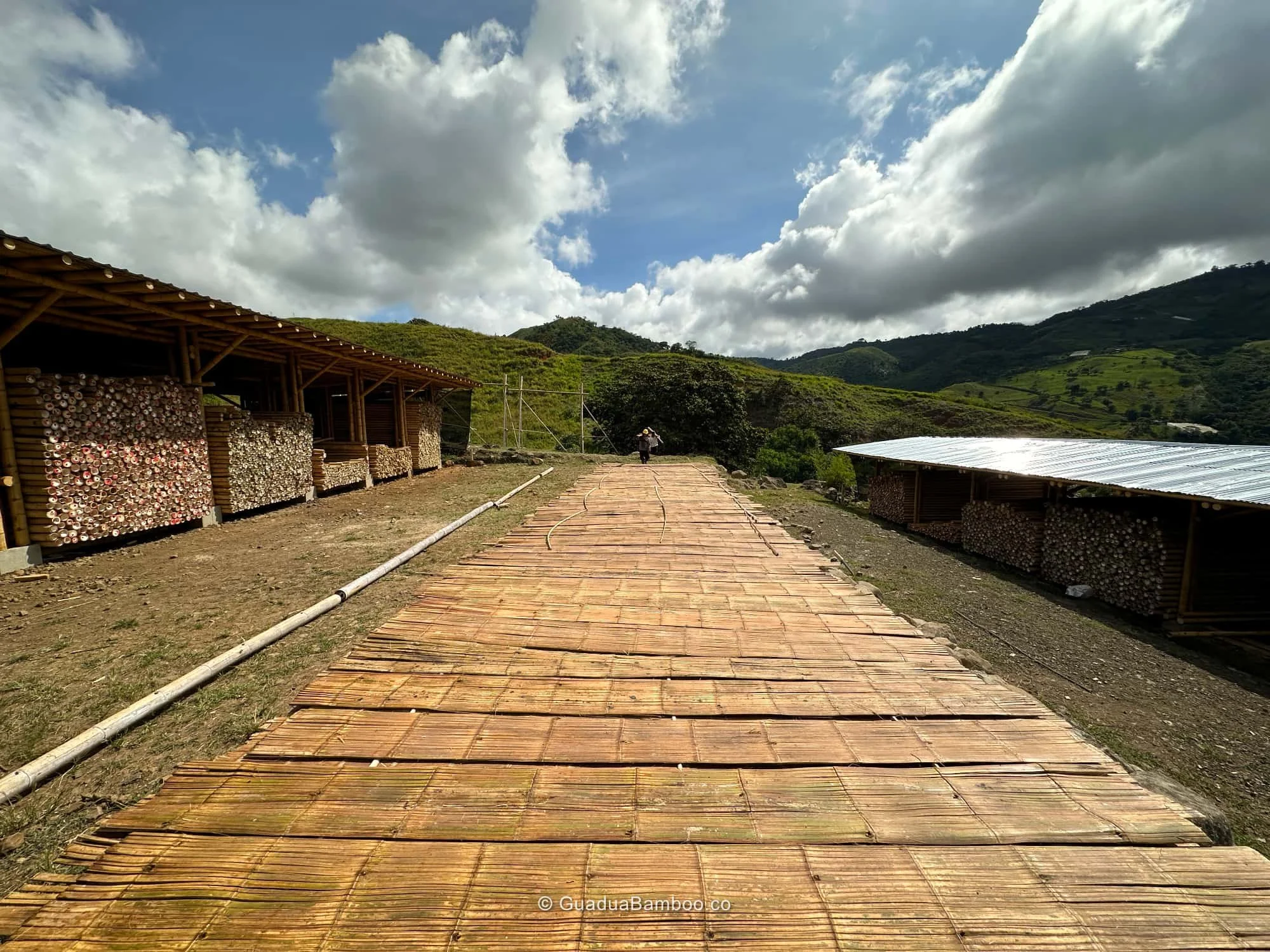 Secado de Esterilla de Guadua Bambú