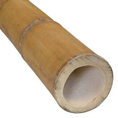 Guadua Rolliza Ø 13-15 cm