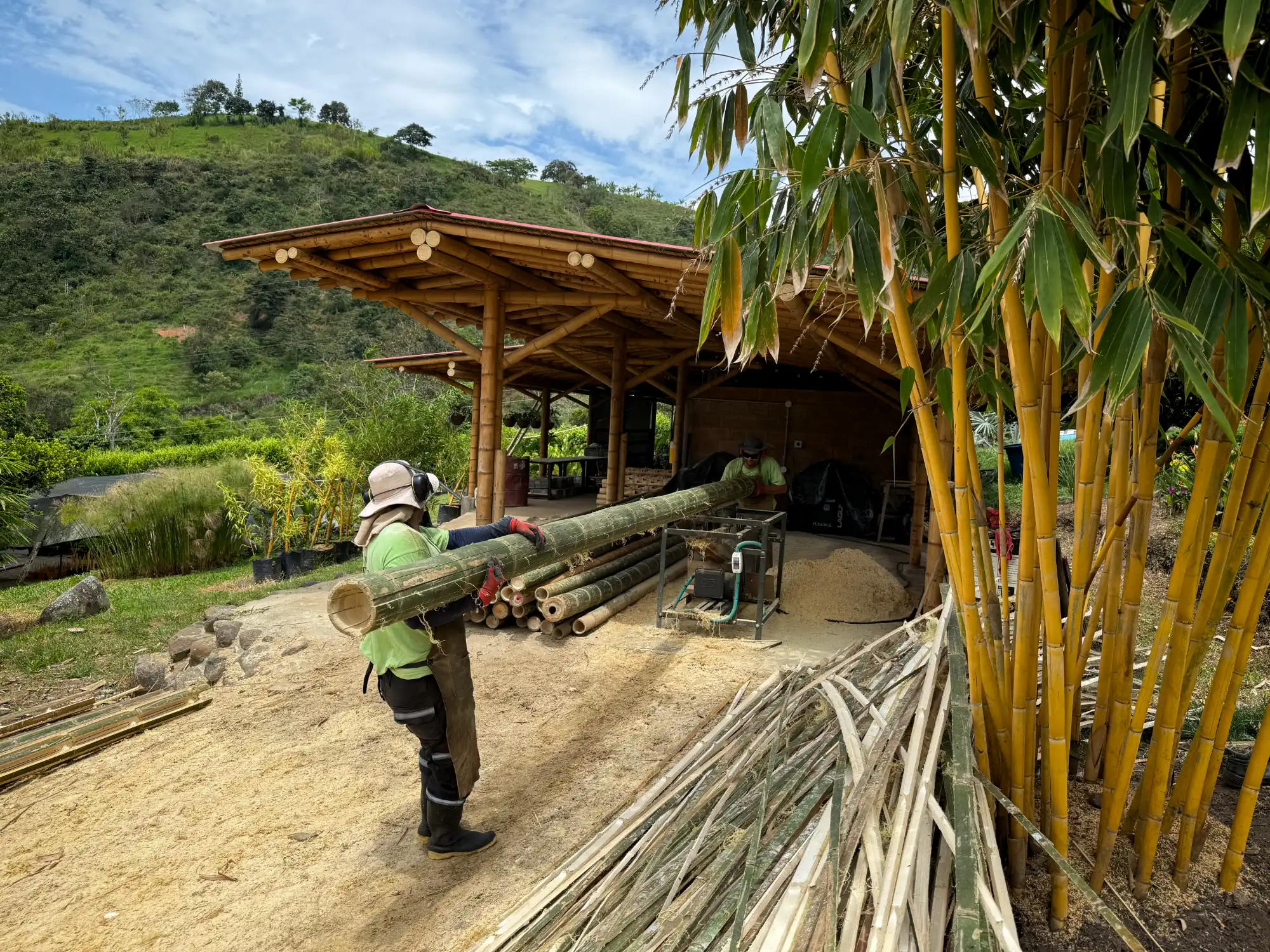 Latas de Guadua Producción