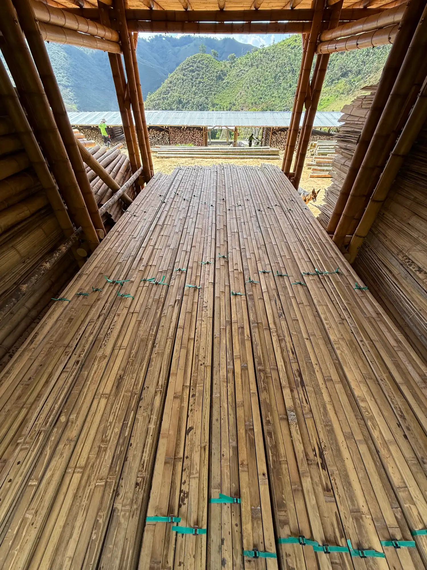 Latas de Guadua Producción