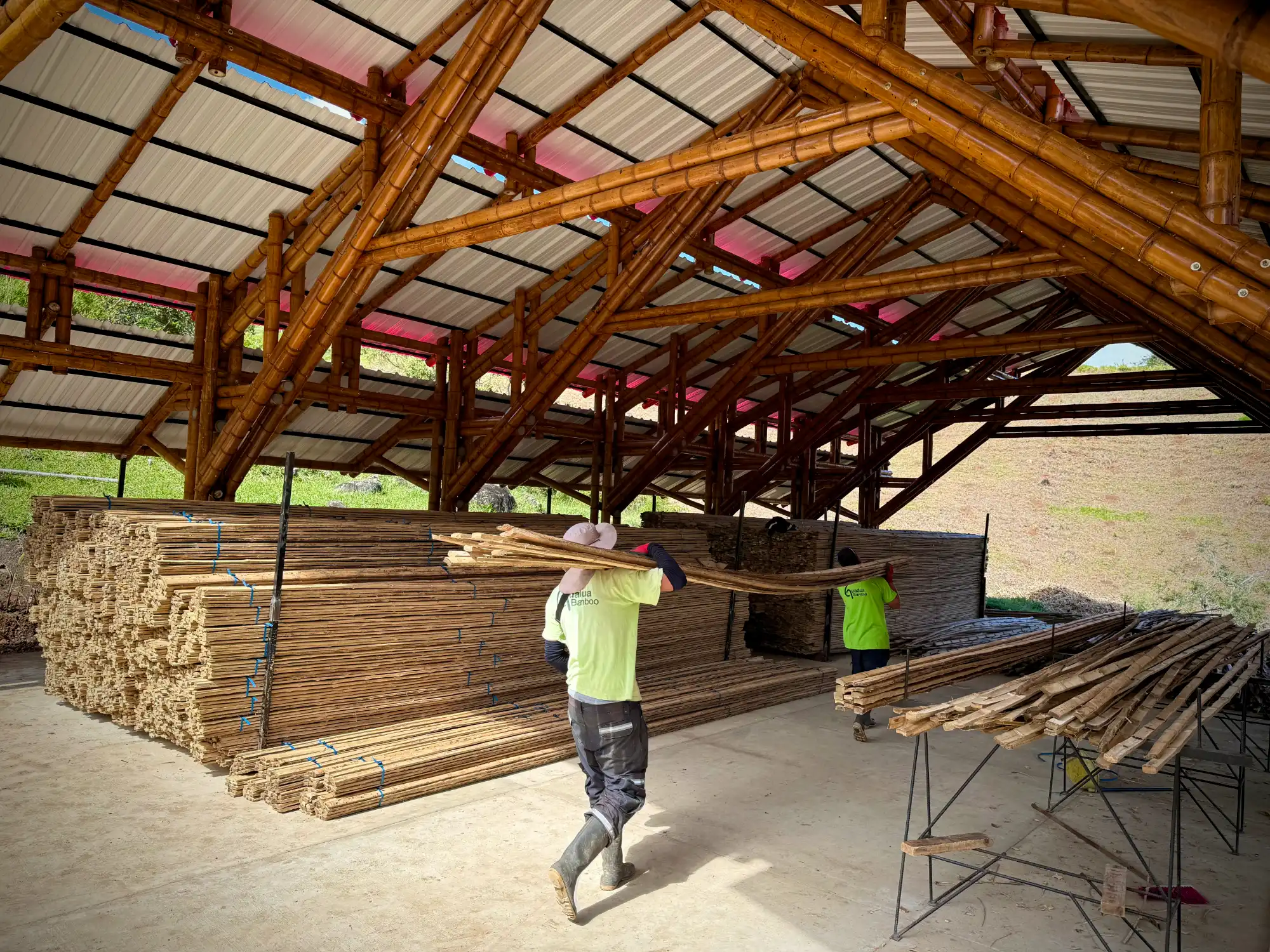 Latas de Guadua Producción