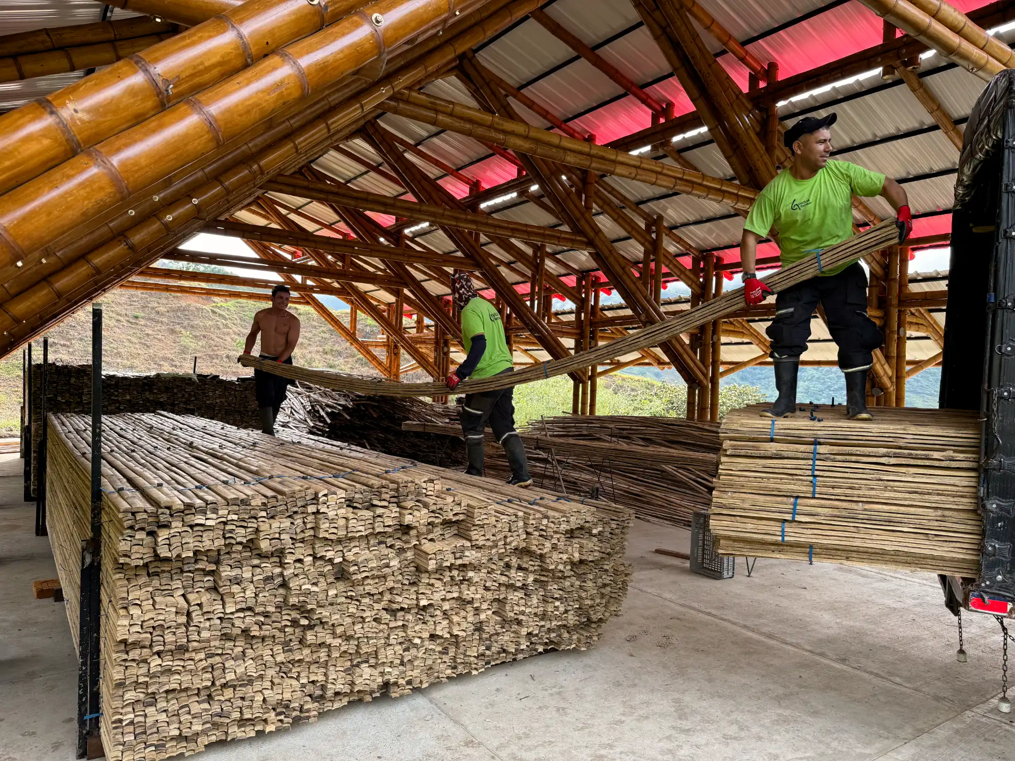Latas de Guadua Producción