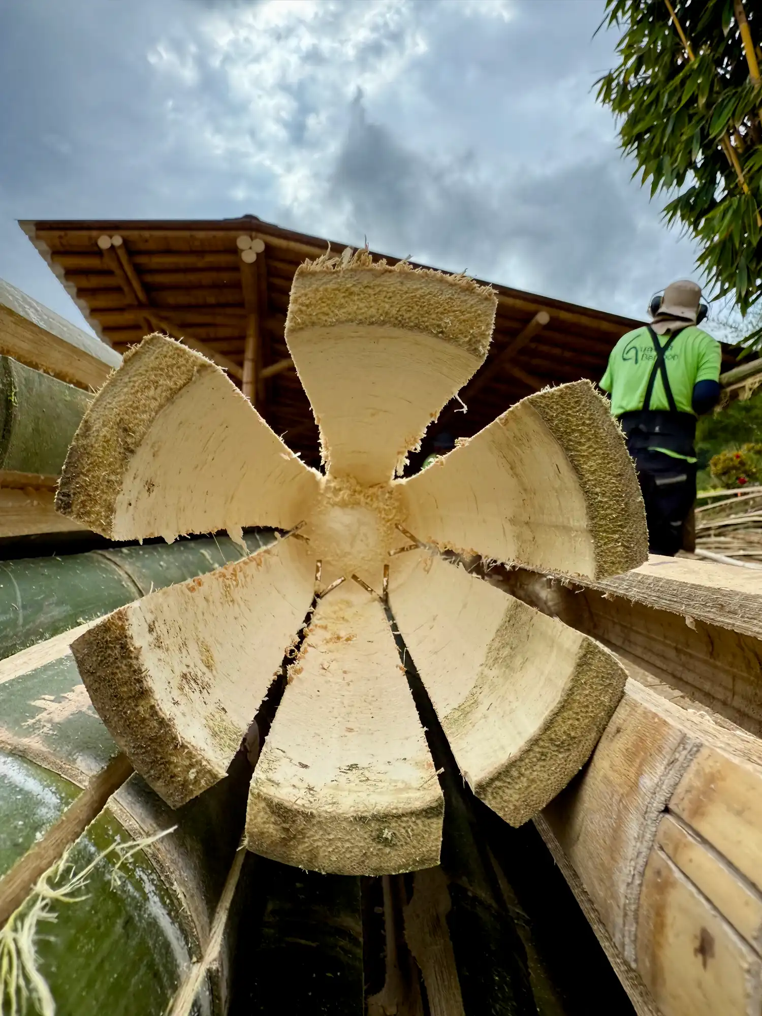 Latas de Guadua Producción