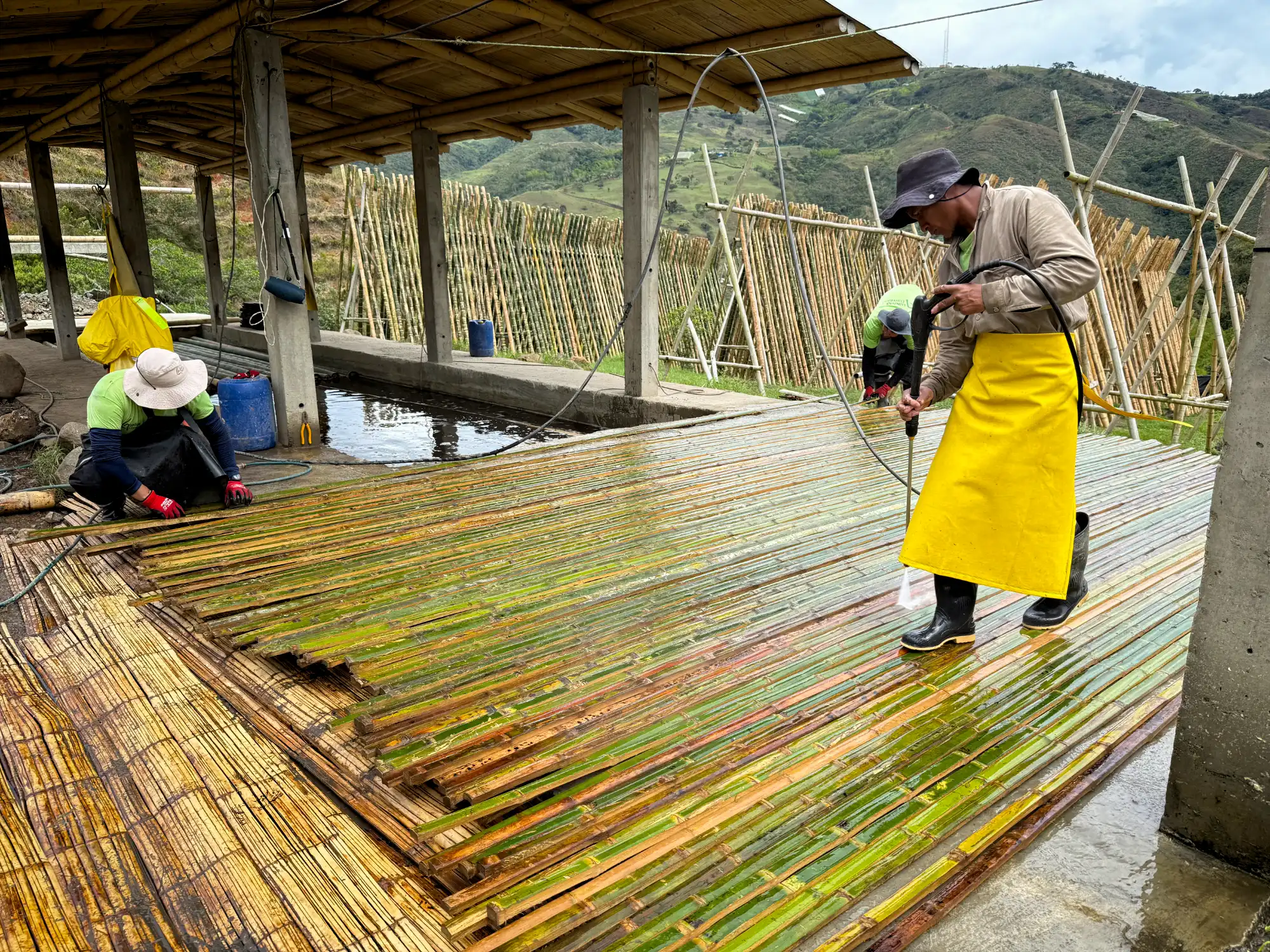 Latas de Guadua Producción