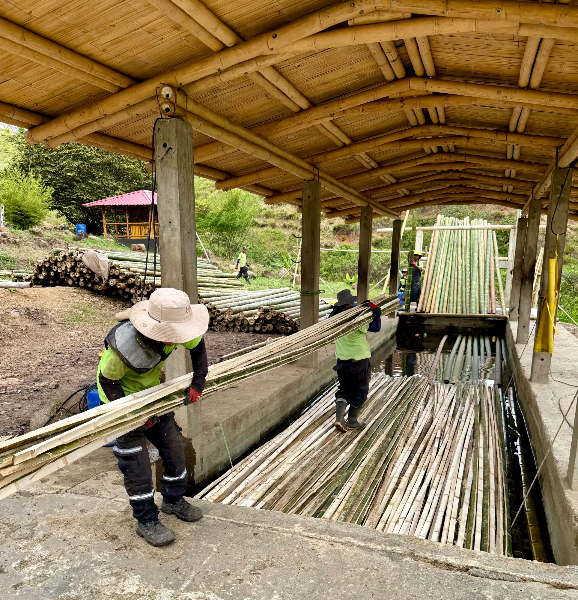 Latas de Guadua Producción