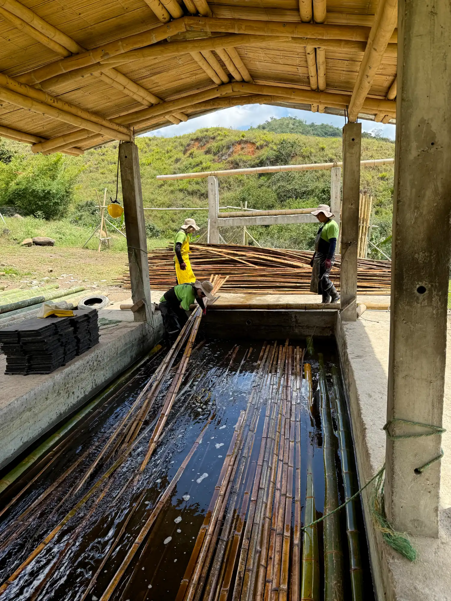 Latas de Guadua Producción