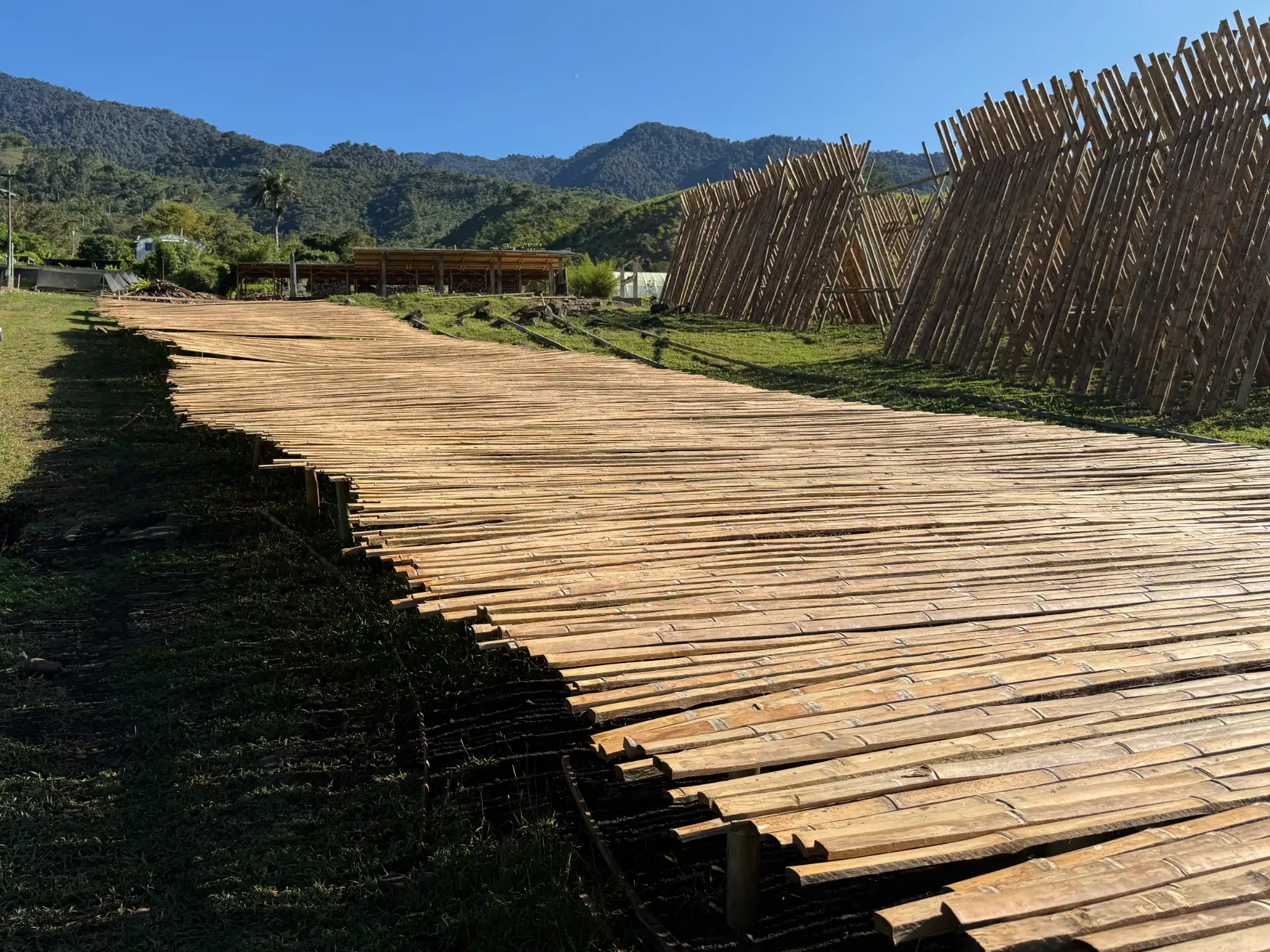 Latas de Guadua Producción