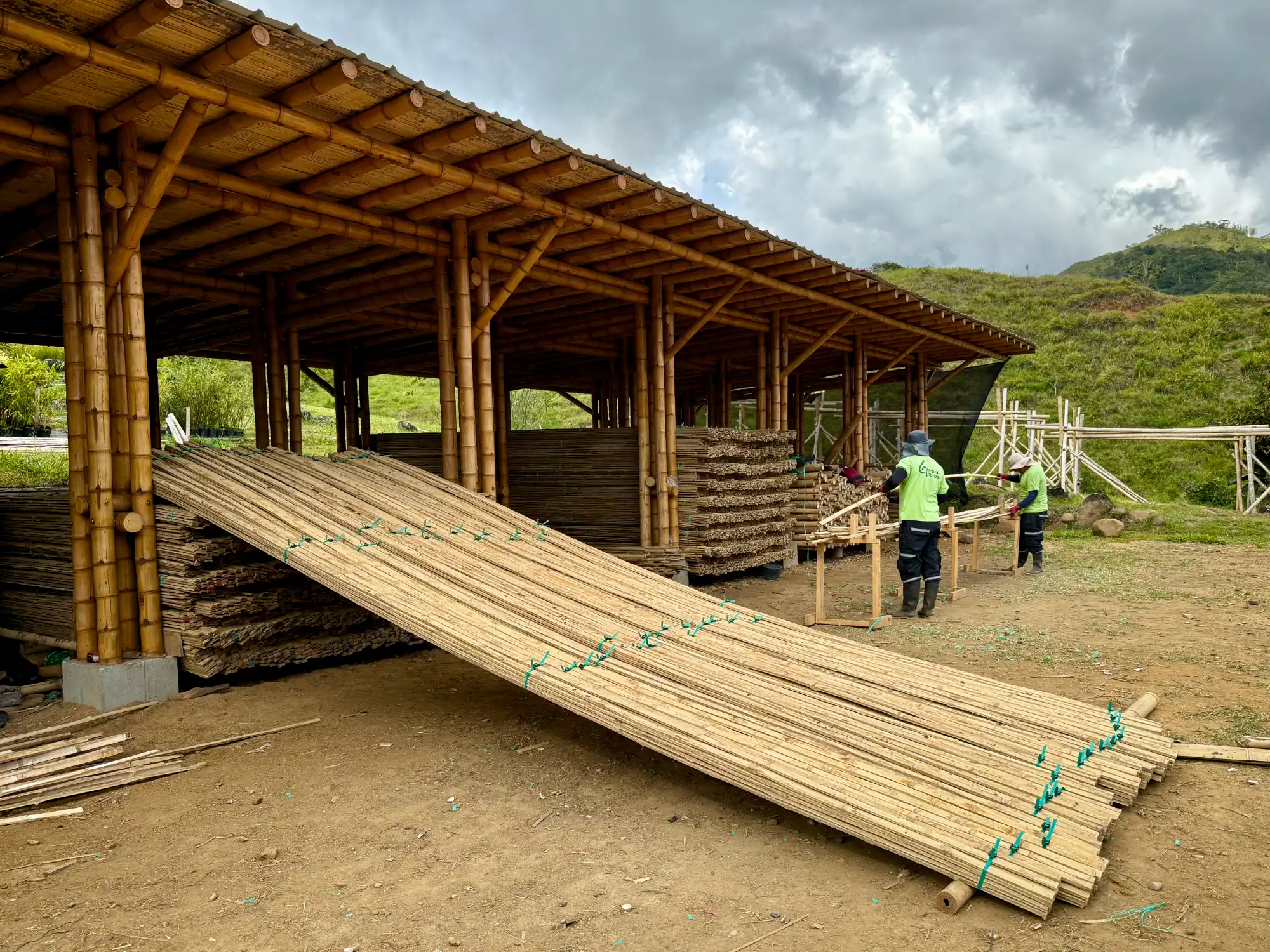 Latas de Guadua Producción