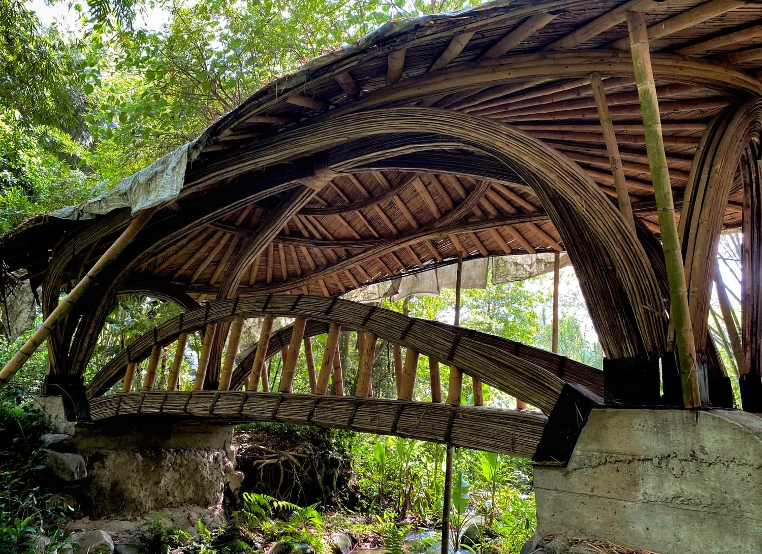 Puente en Latas de Guadua